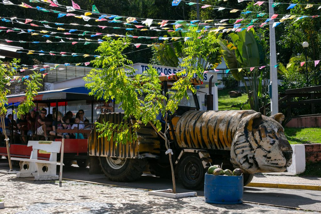 Trenzinho City Tour - águas de são pedro