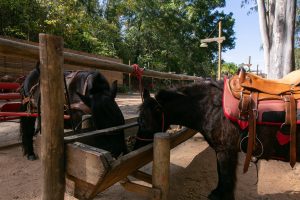 Rancho dos Cavalos - Águas de São Pedro